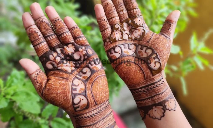Shahin Mehndi Artist